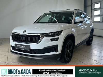 Bild Skoda Kodiaq