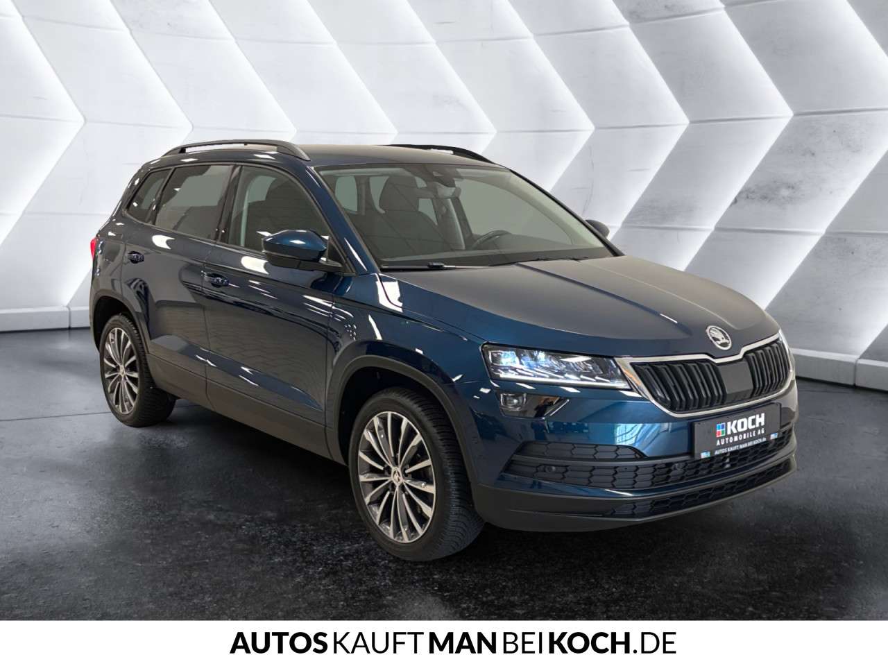 Fahrzeugbild eines Skoda Karoq