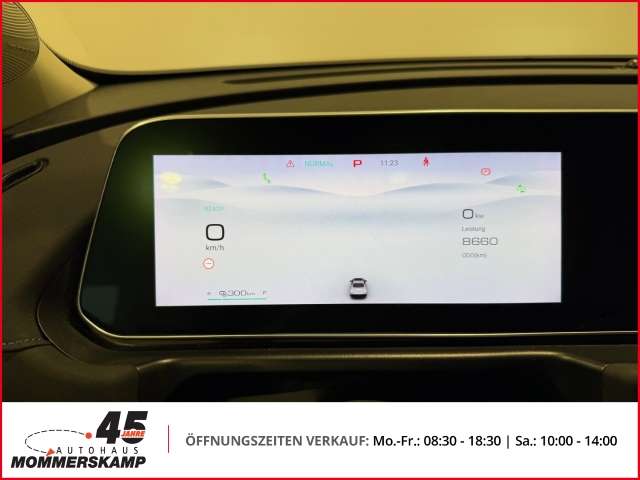 Fahrzeugbild eines GWM Ora 03