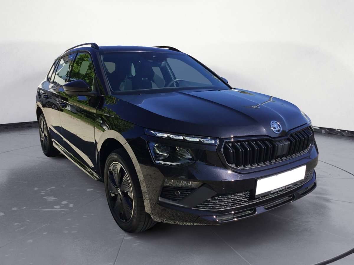 Fahrzeugbild eines Skoda Kamiq