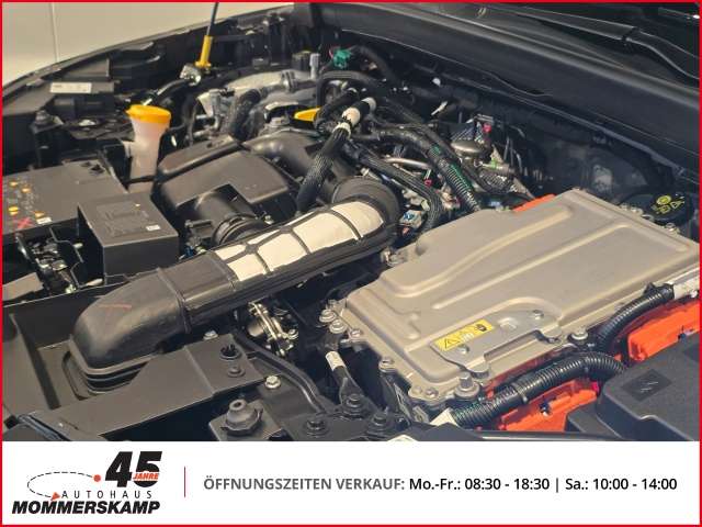 Fahrzeugbild eines Mitsubishi Grandis