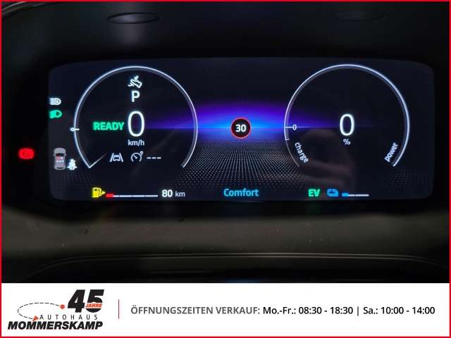 Fahrzeugbild eines Mitsubishi Grandis