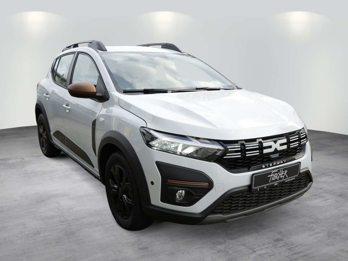 Fahrzeugbild eines Dacia Sandero