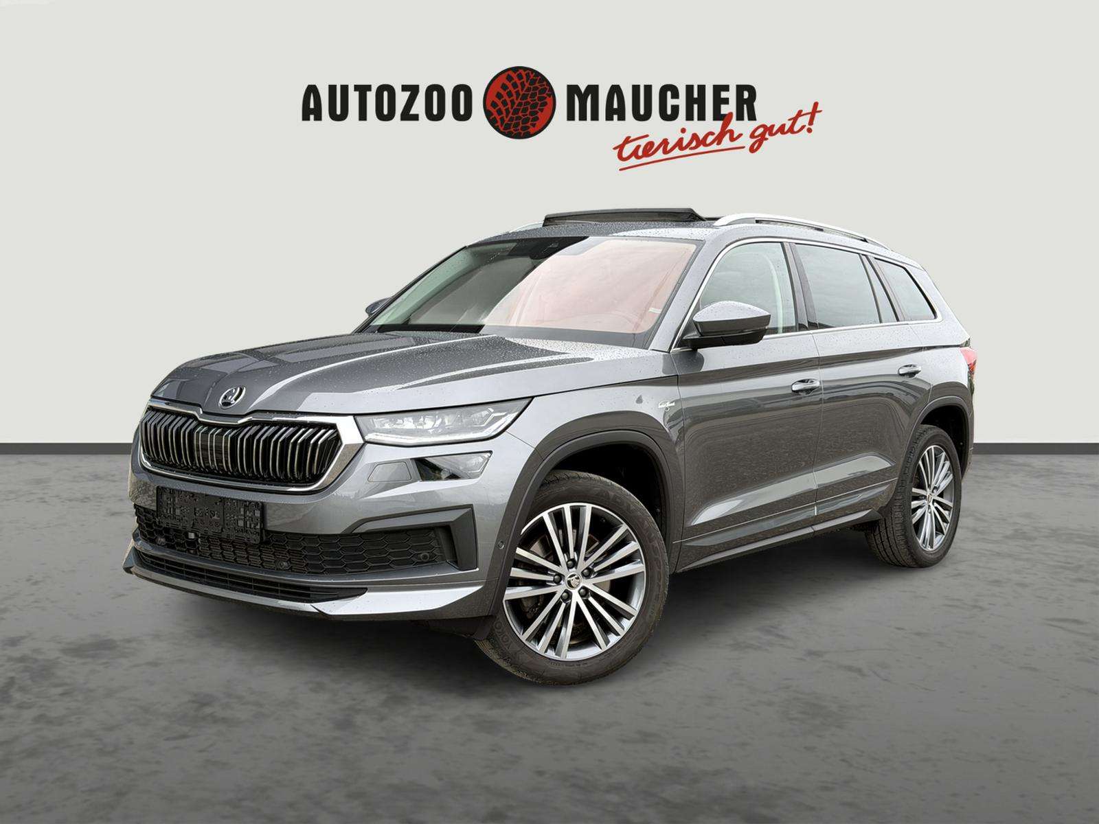 Fahrzeugbild eines Skoda Kodiaq