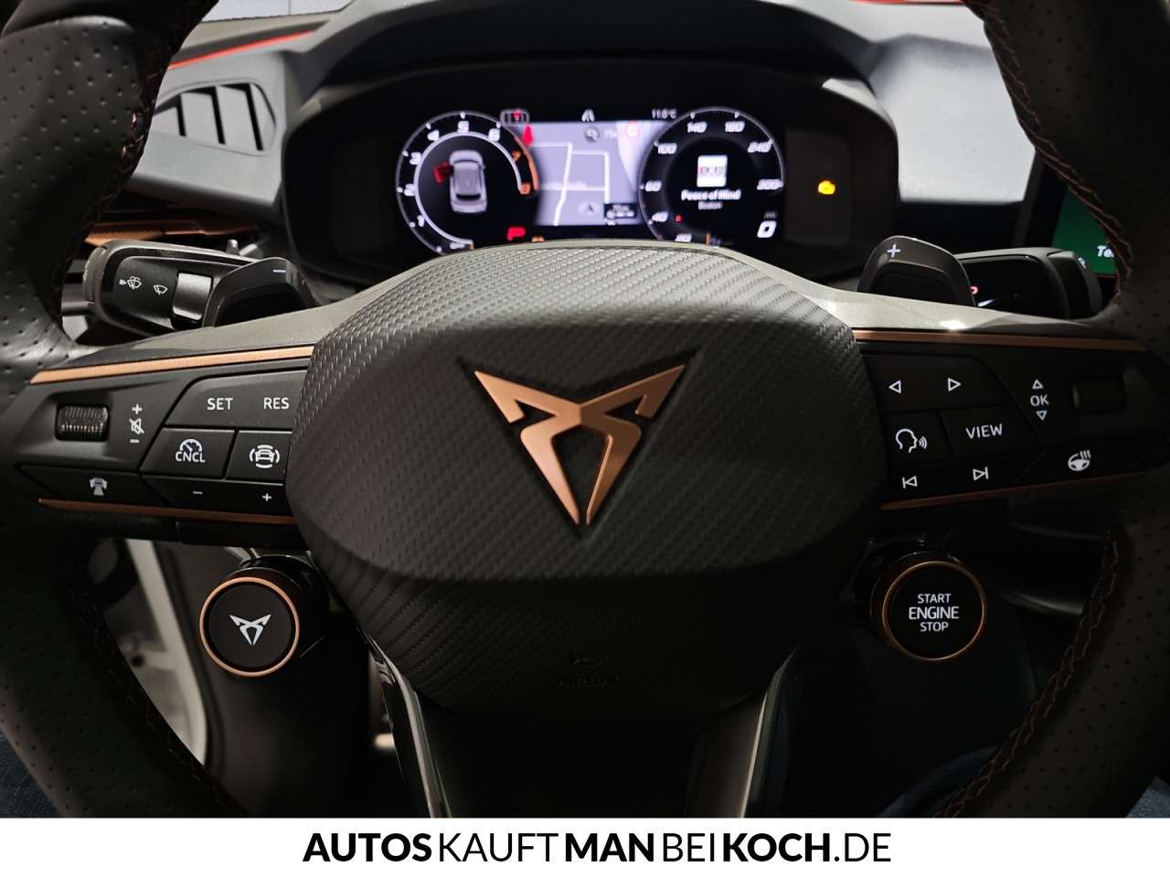 Fahrzeugbild eines CUPRA Terramar