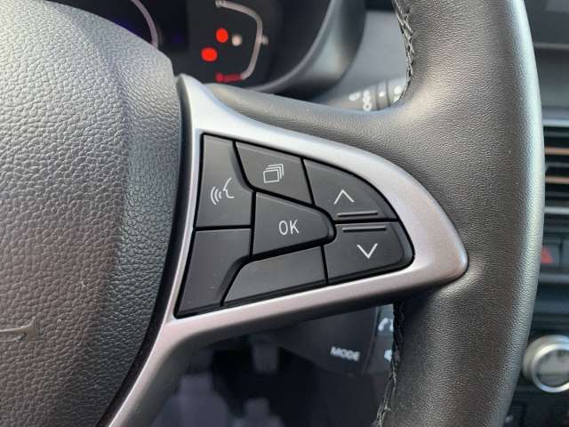 Fahrzeugbild eines Dacia Jogger