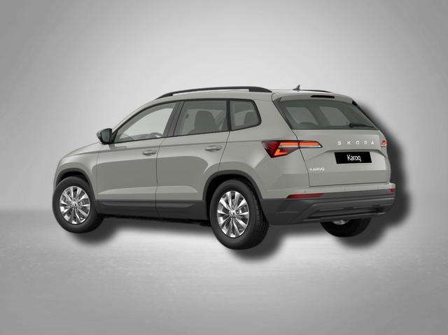 Fahrzeugbild eines Skoda Karoq