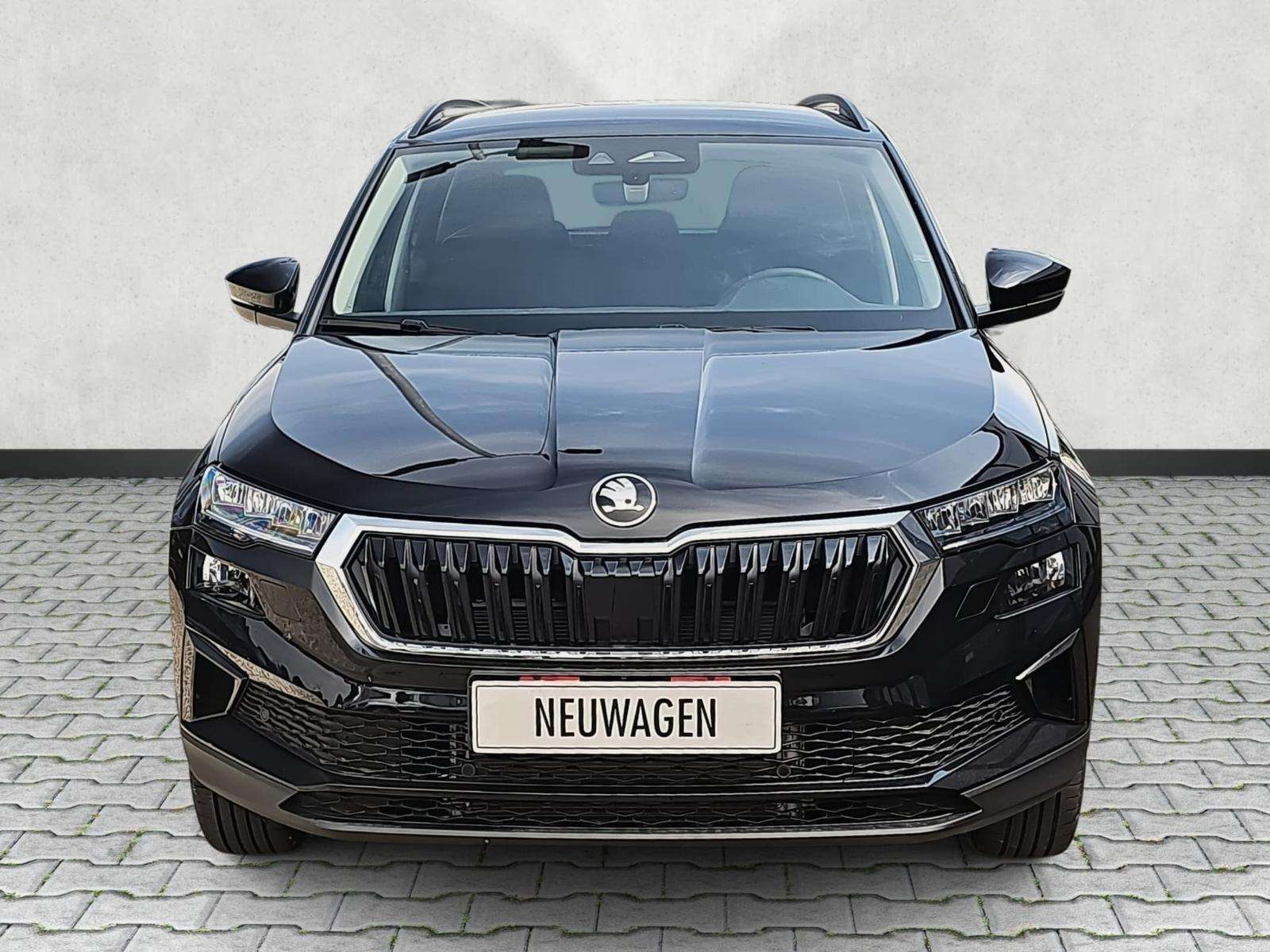 Fahrzeugbild eines Skoda Karoq