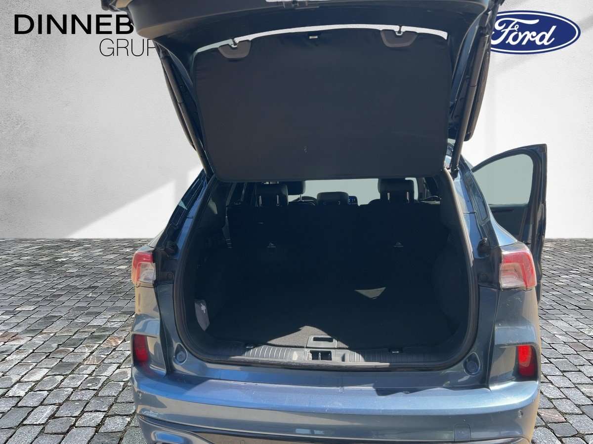 Fahrzeugbild eines Ford Kuga