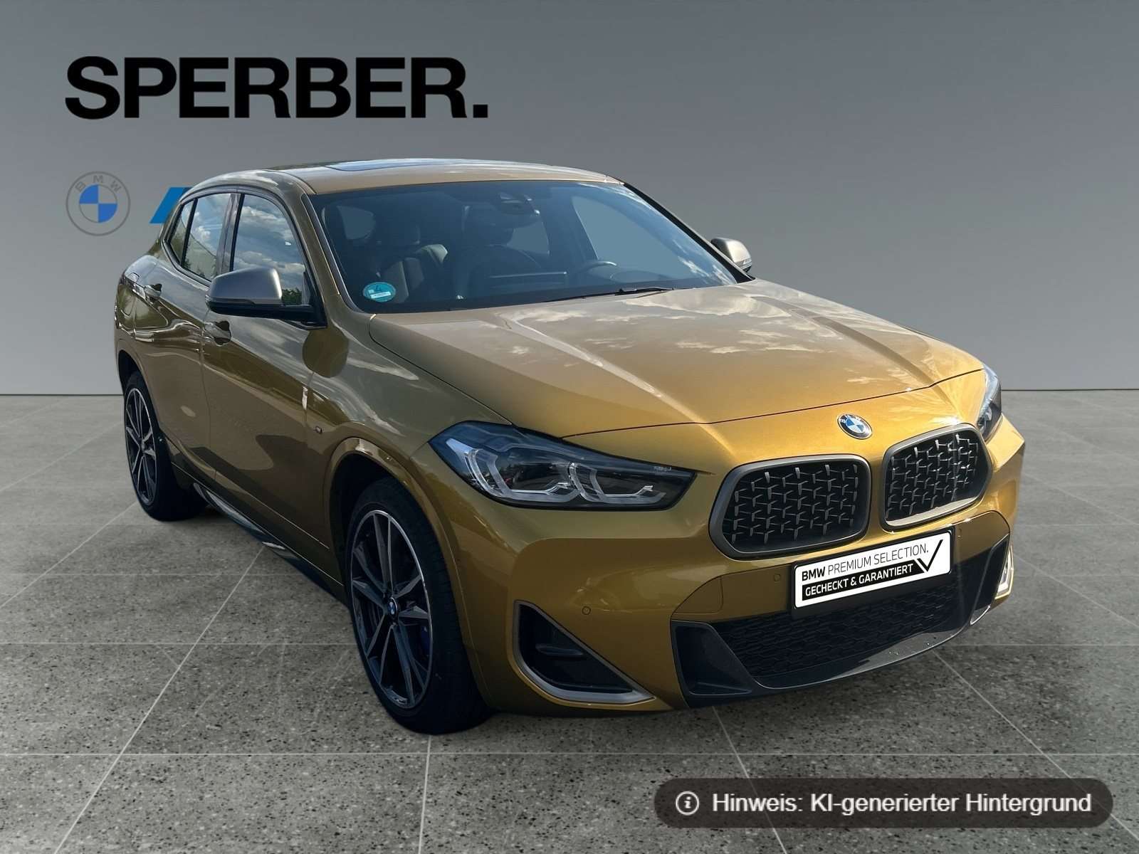 Fahrzeugbild eines BMW X2