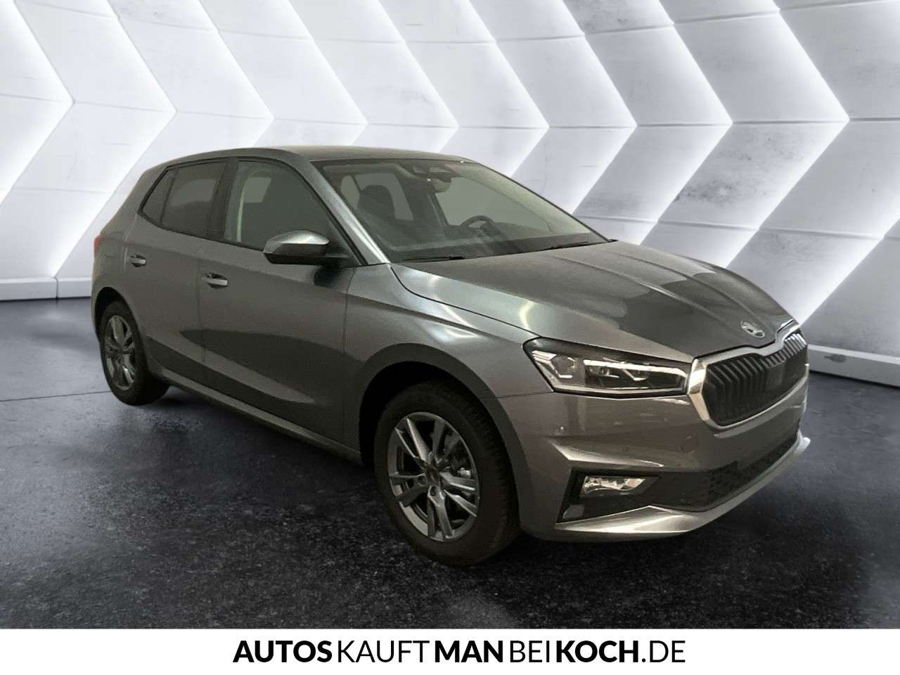 Fahrzeugbild eines Skoda Fabia