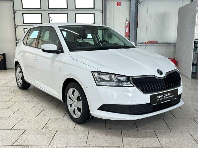Fahrzeugbild eines Skoda Fabia