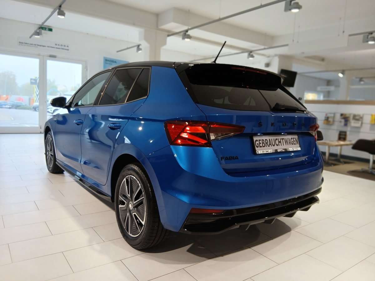 Fahrzeugbild eines Skoda Fabia