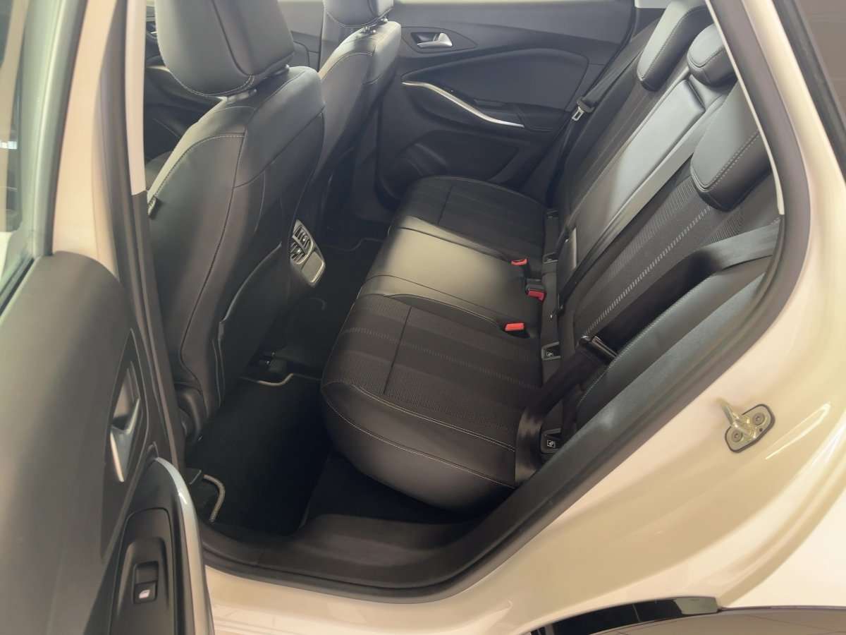 Fahrzeugbild eines Opel Grandland X