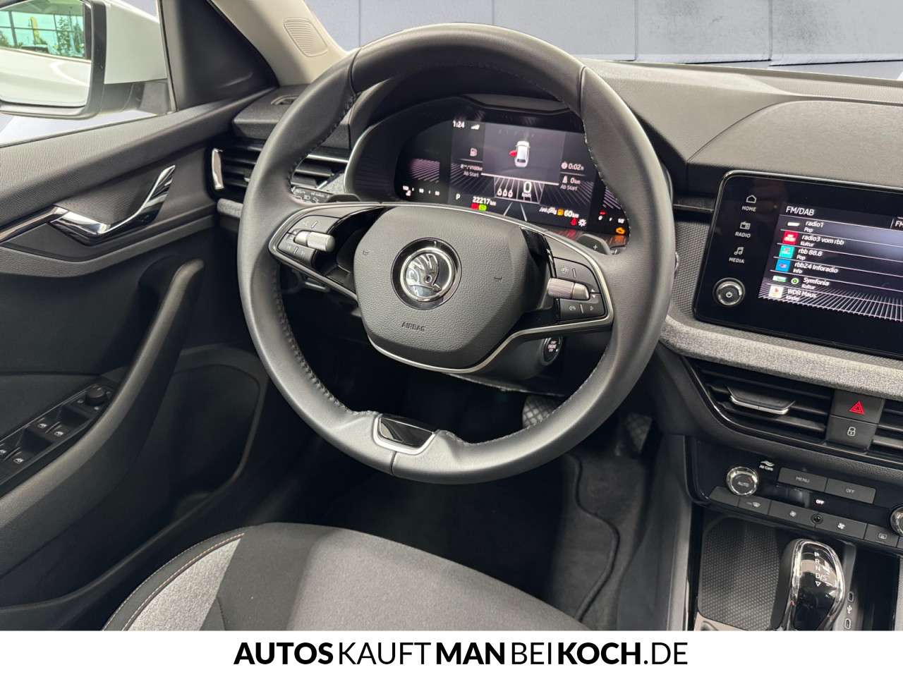 Fahrzeugbild eines Skoda Scala