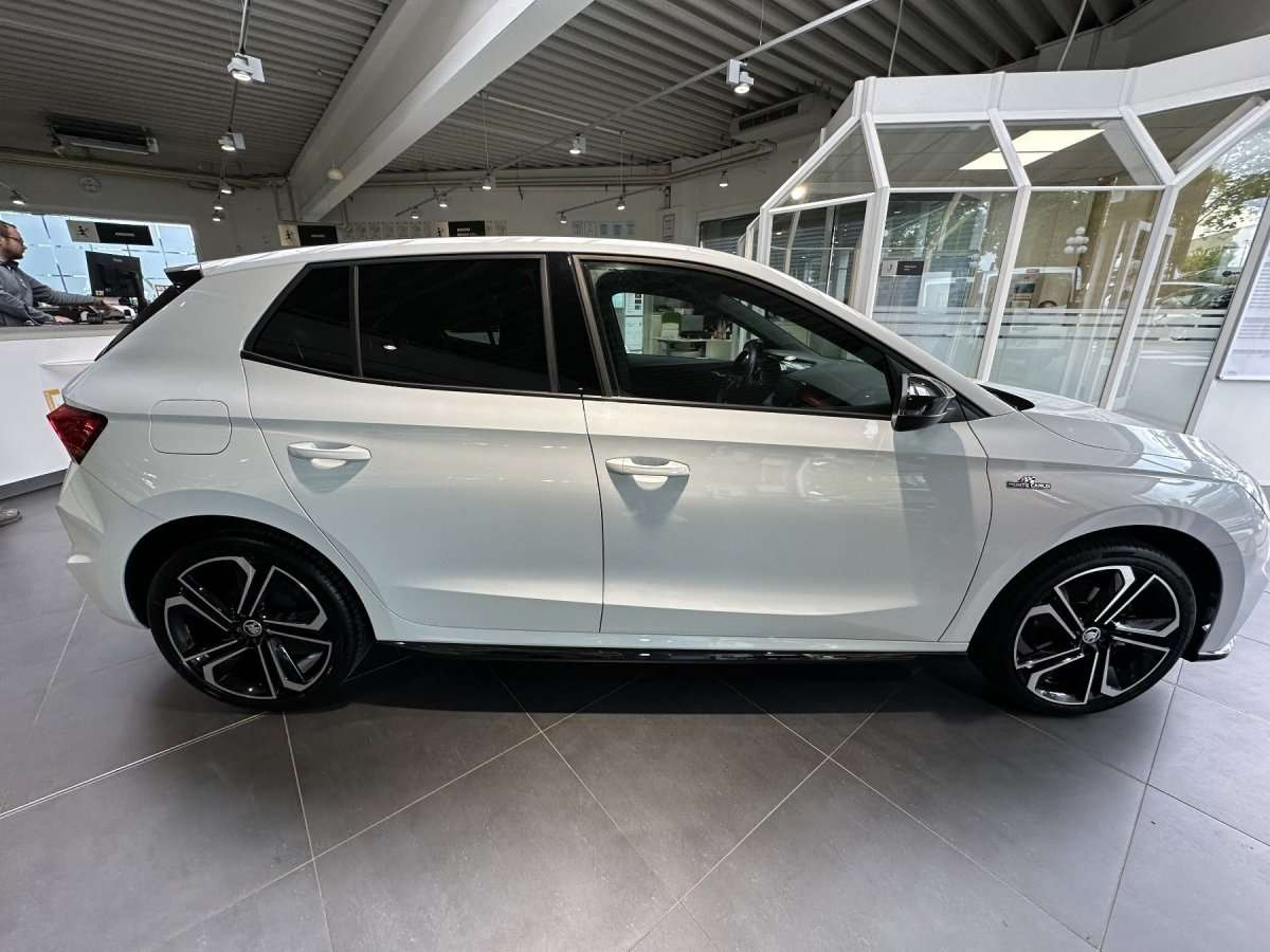 Fahrzeugbild eines Skoda Fabia
