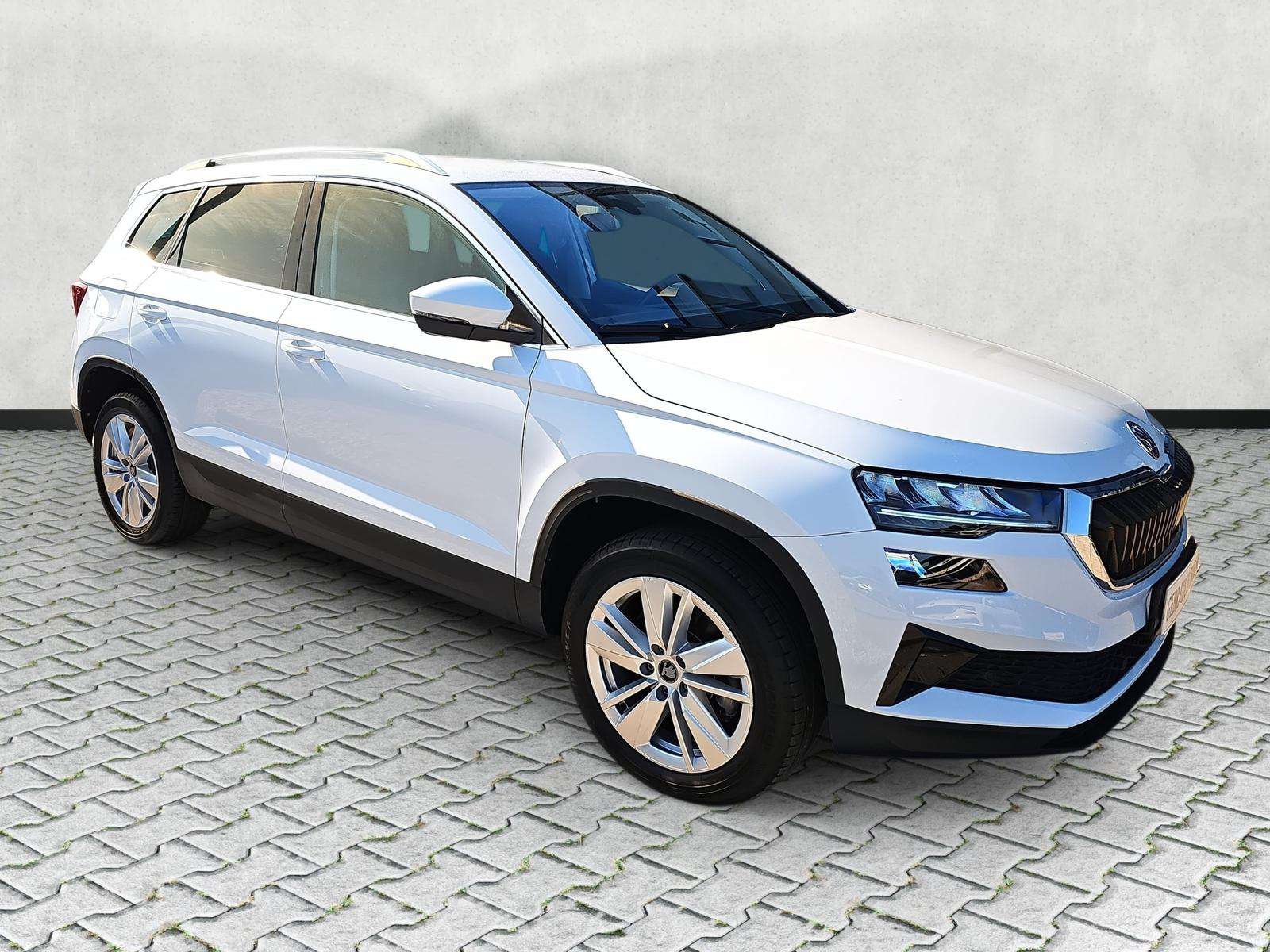 Fahrzeugbild eines Skoda Karoq