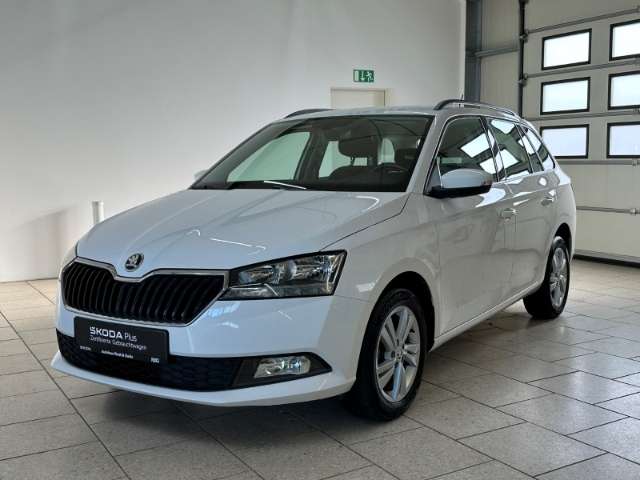 Fahrzeugbild eines Skoda Fabia