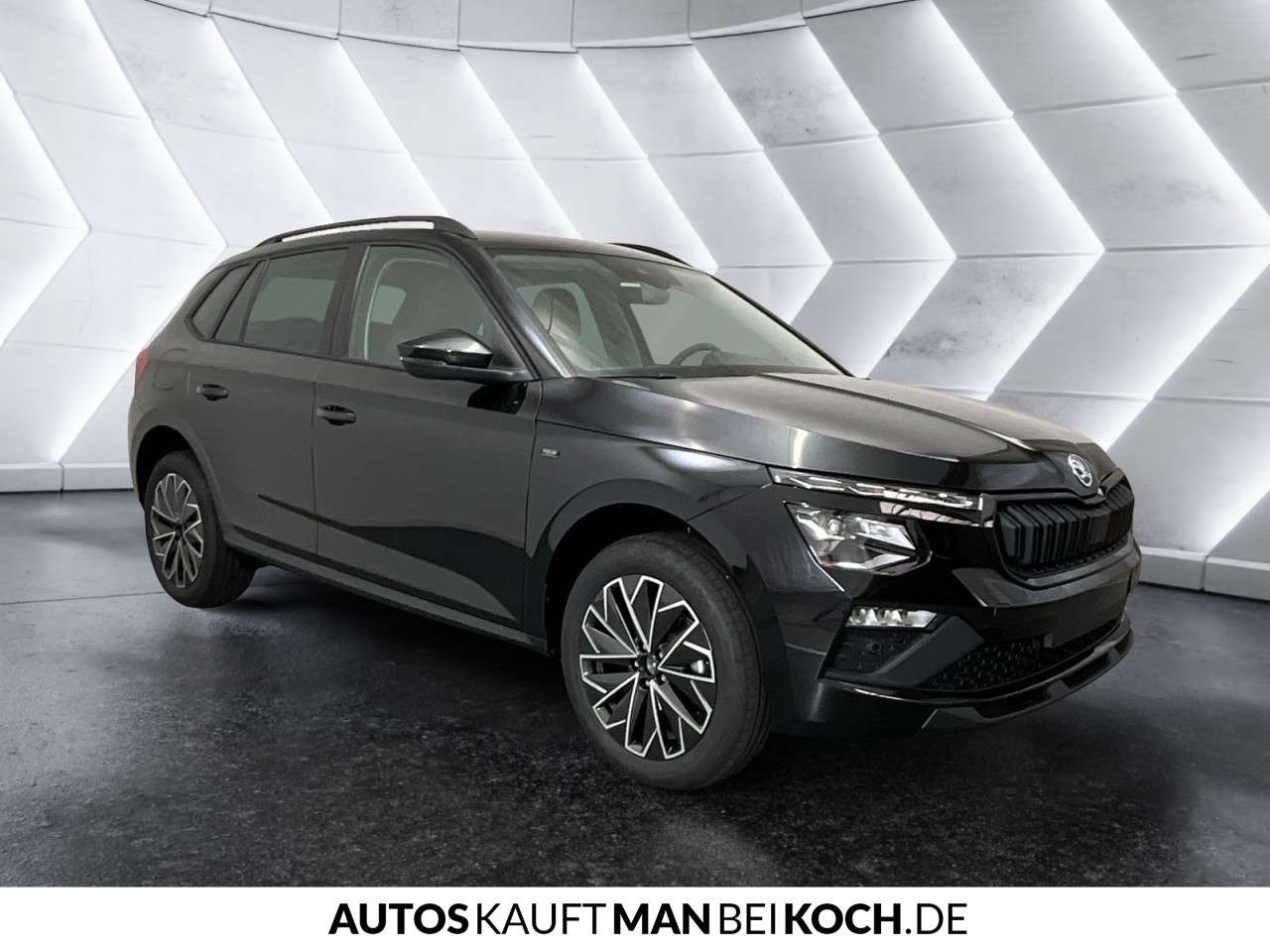 Fahrzeugbild eines Skoda Kamiq