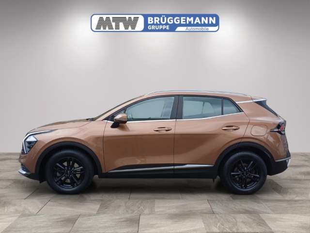 Fahrzeugbild eines Kia Sportage