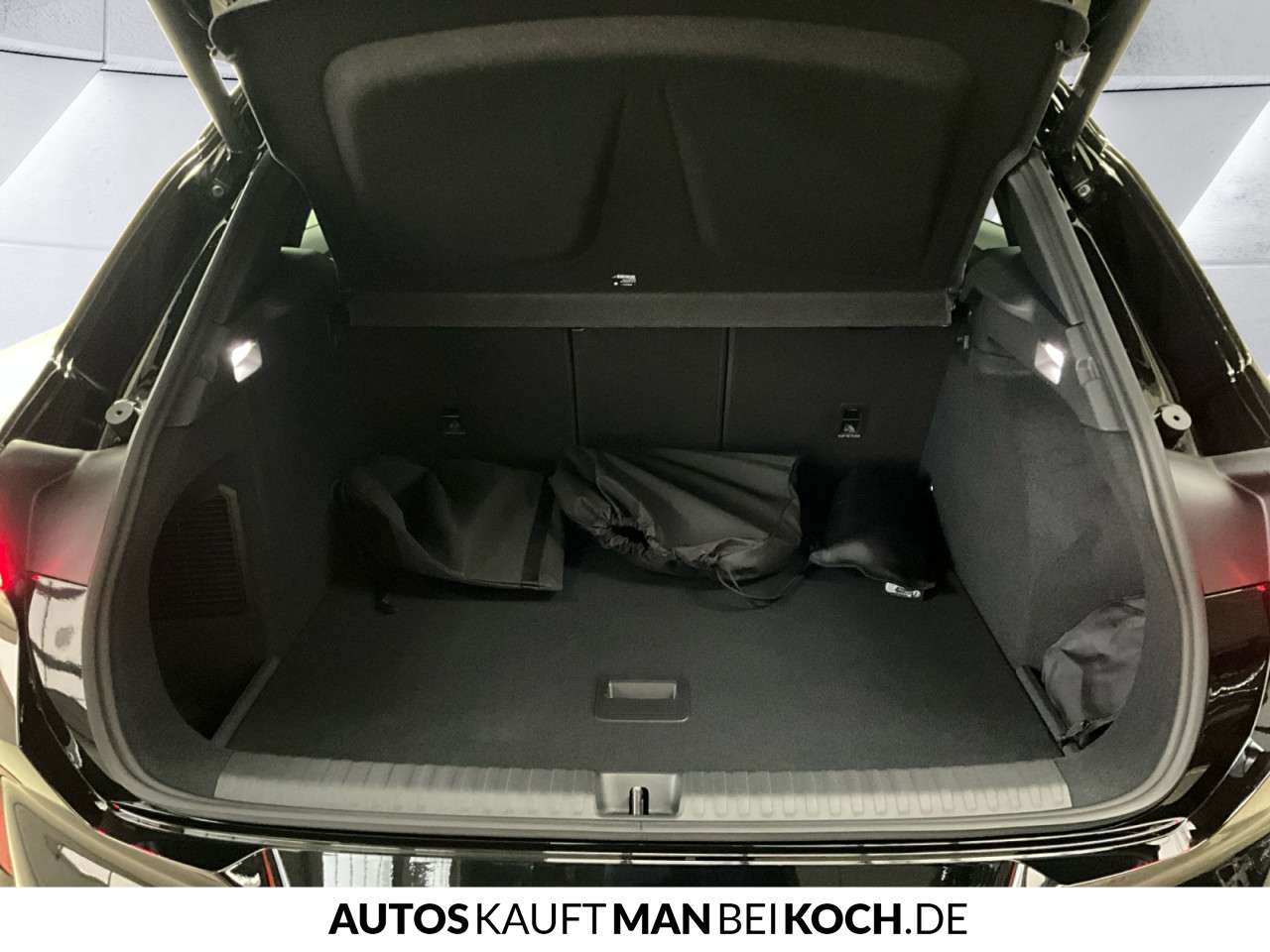 Fahrzeugbild eines CUPRA Terramar