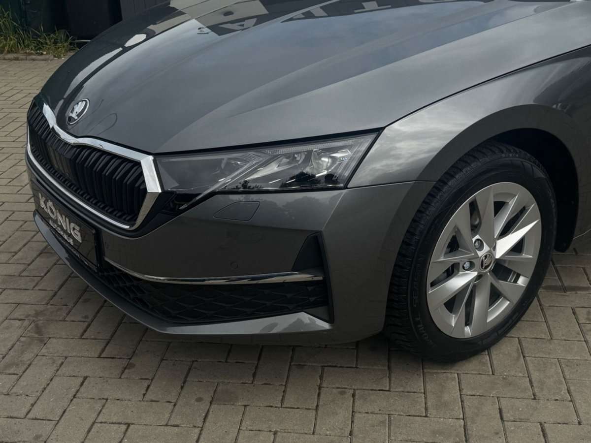 Fahrzeugbild eines Skoda Octavia