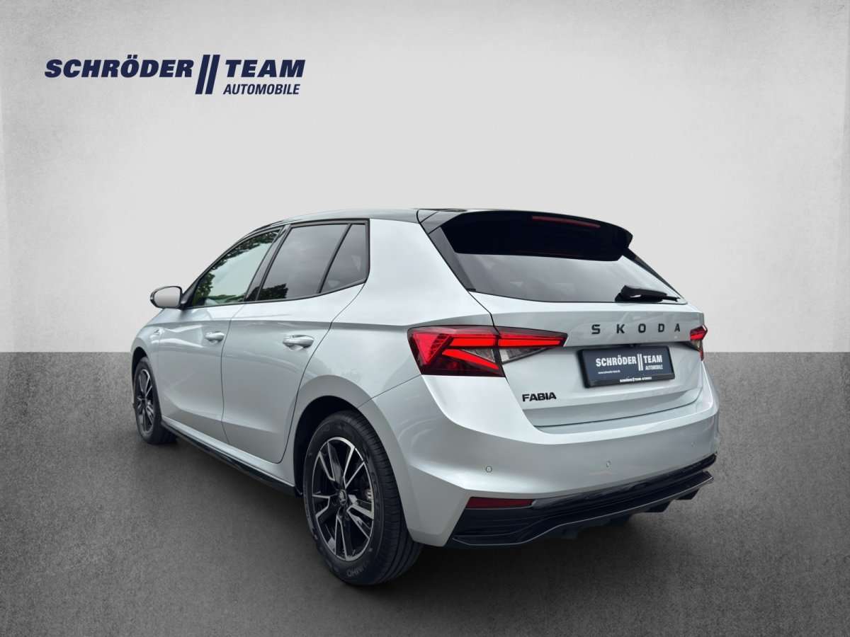 Fahrzeugbild eines Skoda Fabia