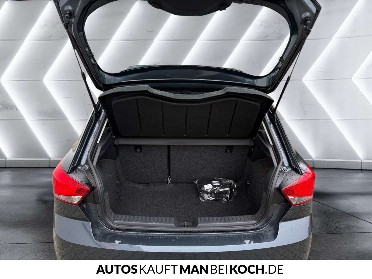Fahrzeugbild eines SEAT Ibiza