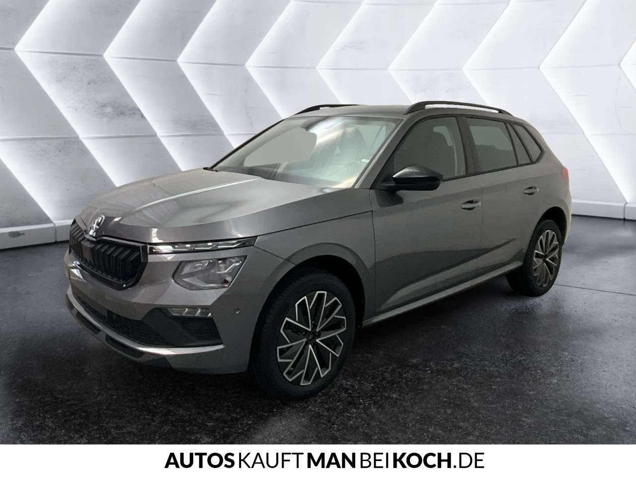 Fahrzeugbild eines Skoda Kamiq