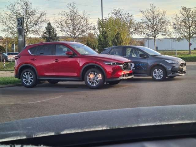 Fahrzeugbild eines Mazda MX-30