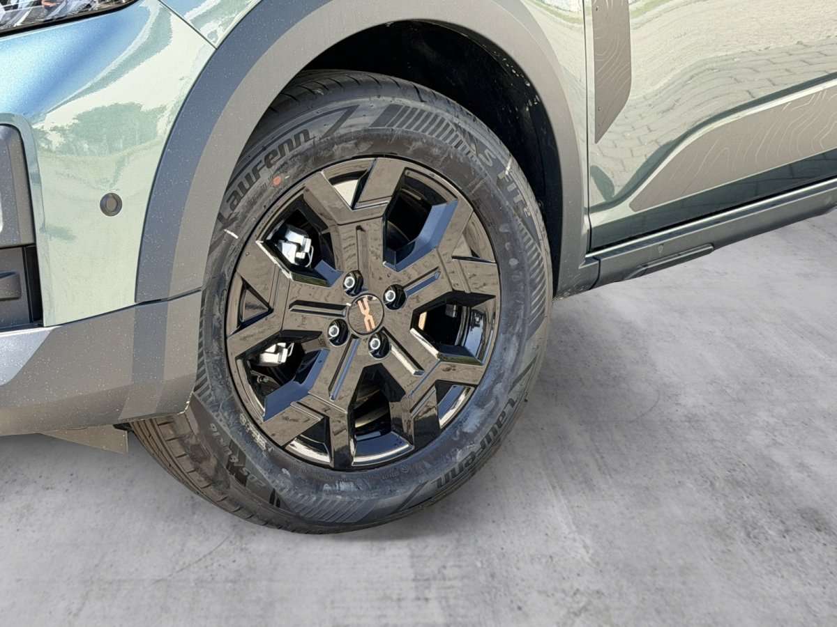 Fahrzeugbild eines Dacia Sandero