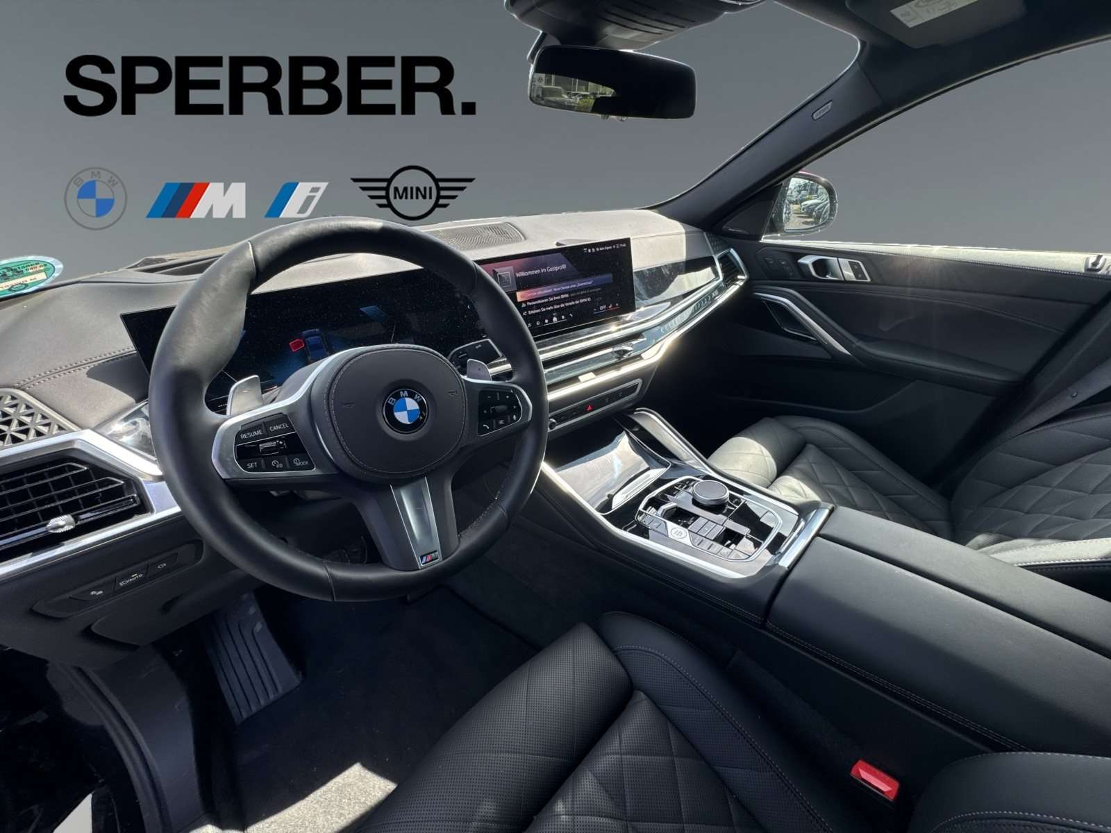 Fahrzeugbild eines BMW X6