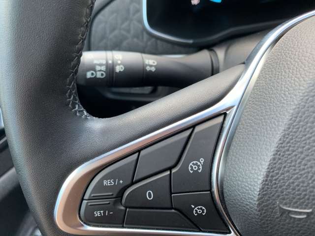 Fahrzeugbild eines Renault ZOE