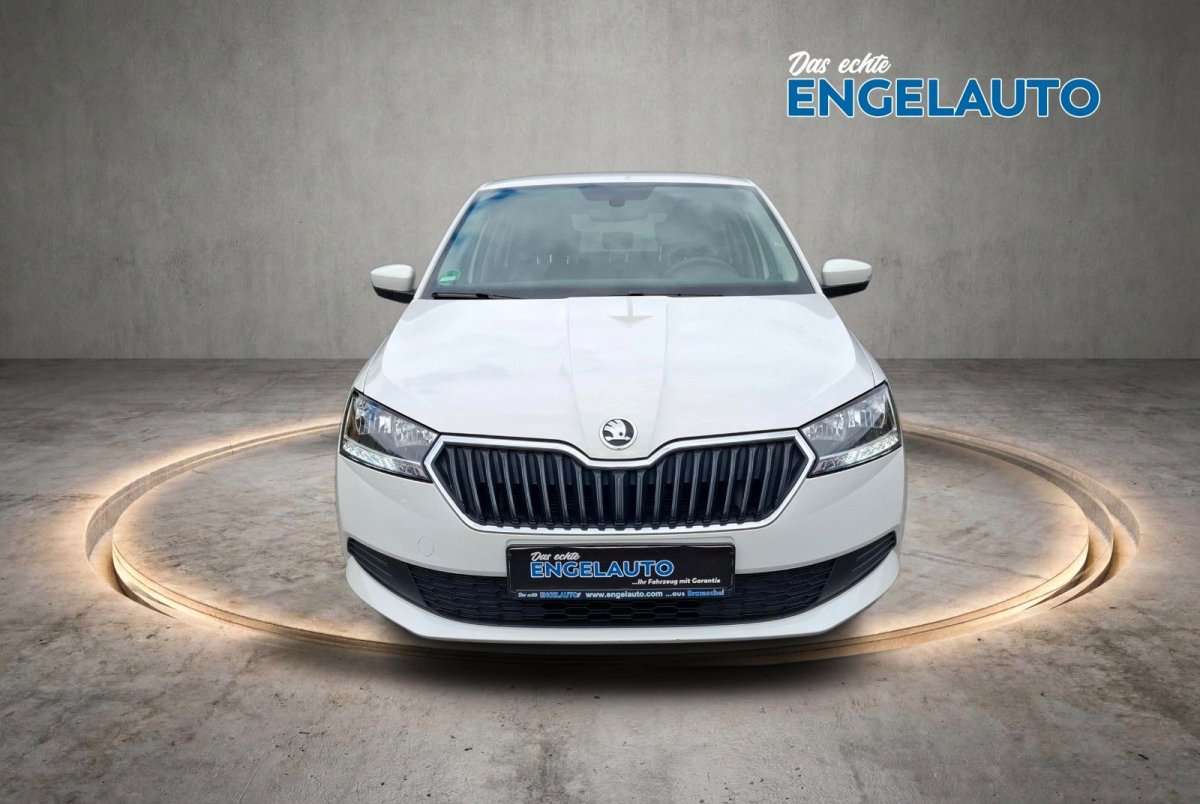 Fahrzeugbild eines Skoda Fabia