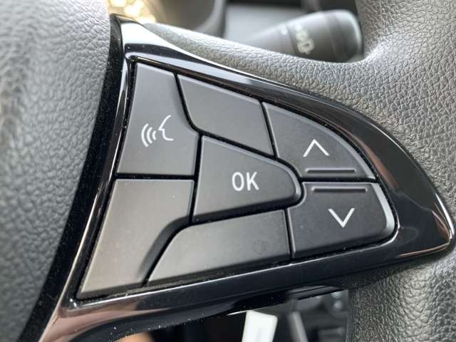 Fahrzeugbild eines Dacia Sandero