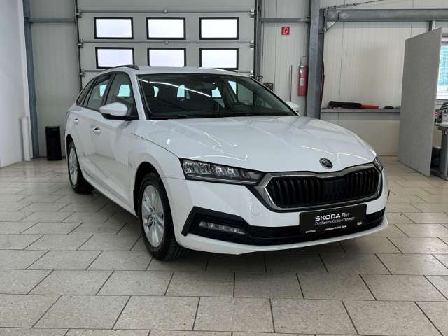 Fahrzeugbild eines Skoda Octavia
