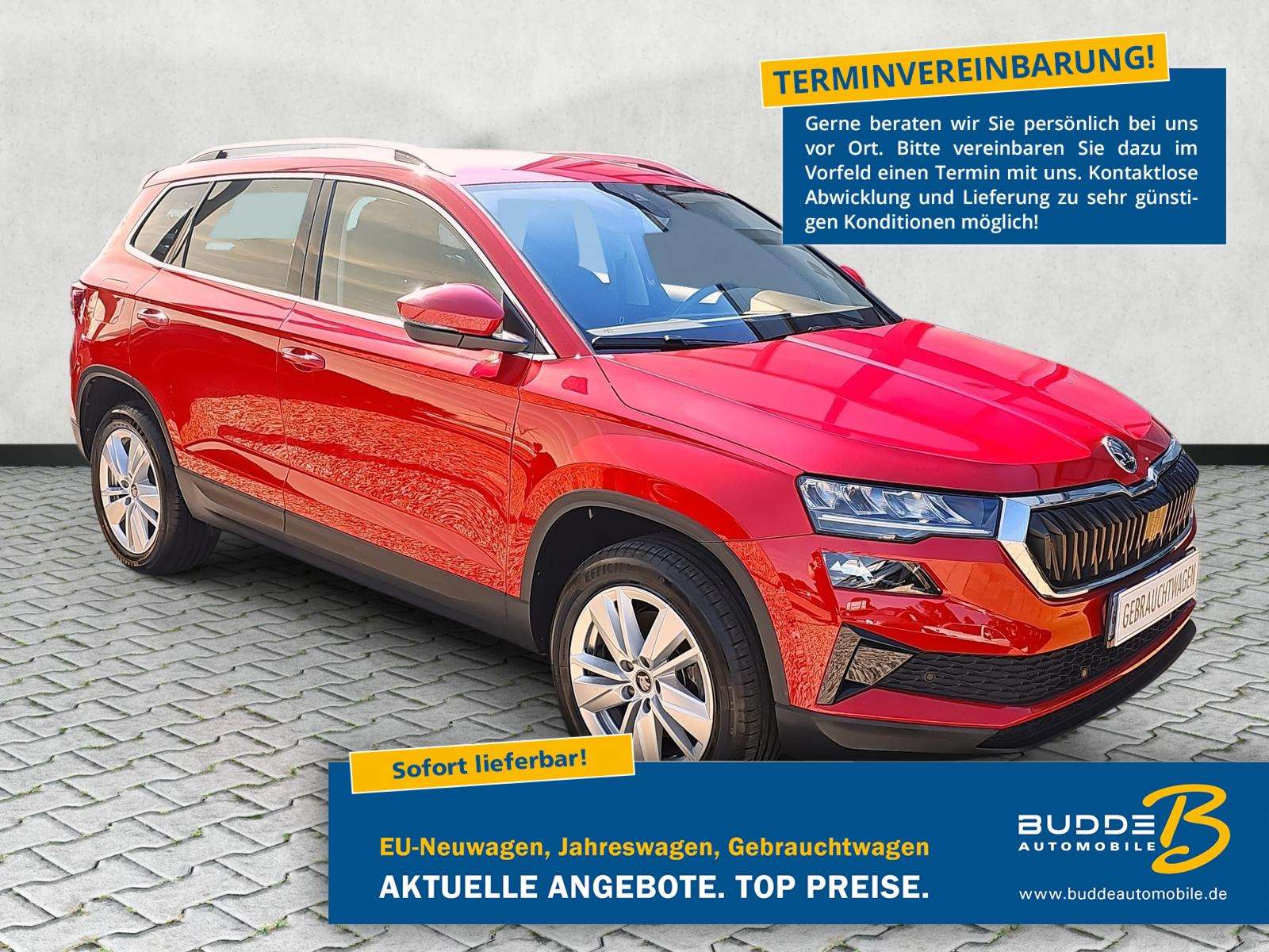Fahrzeugbild eines Skoda Karoq