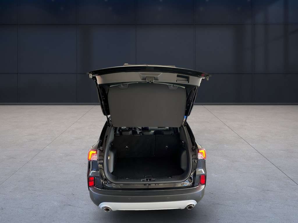 Fahrzeugbild eines Ford Kuga