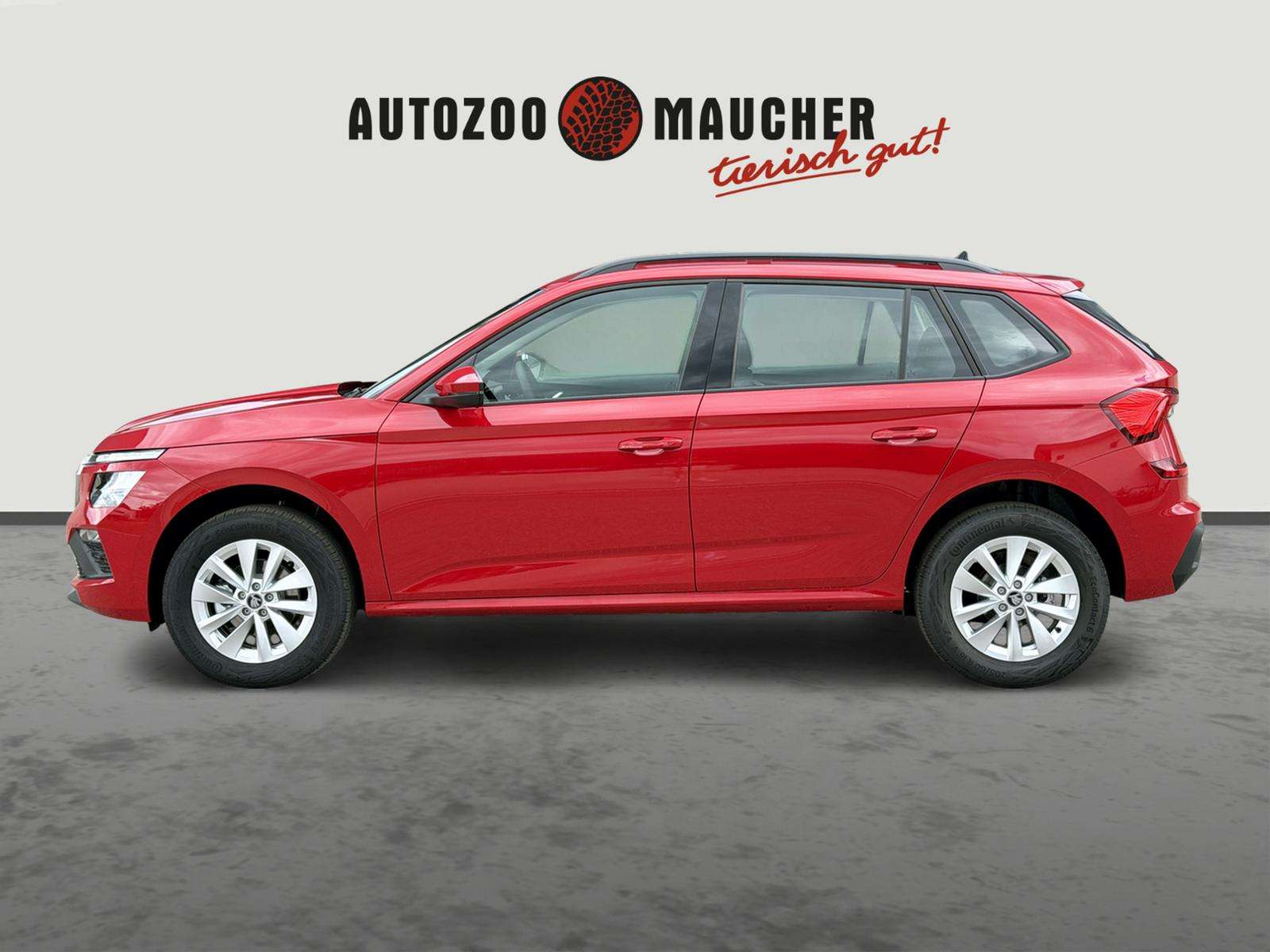 Fahrzeugbild eines Skoda Kamiq