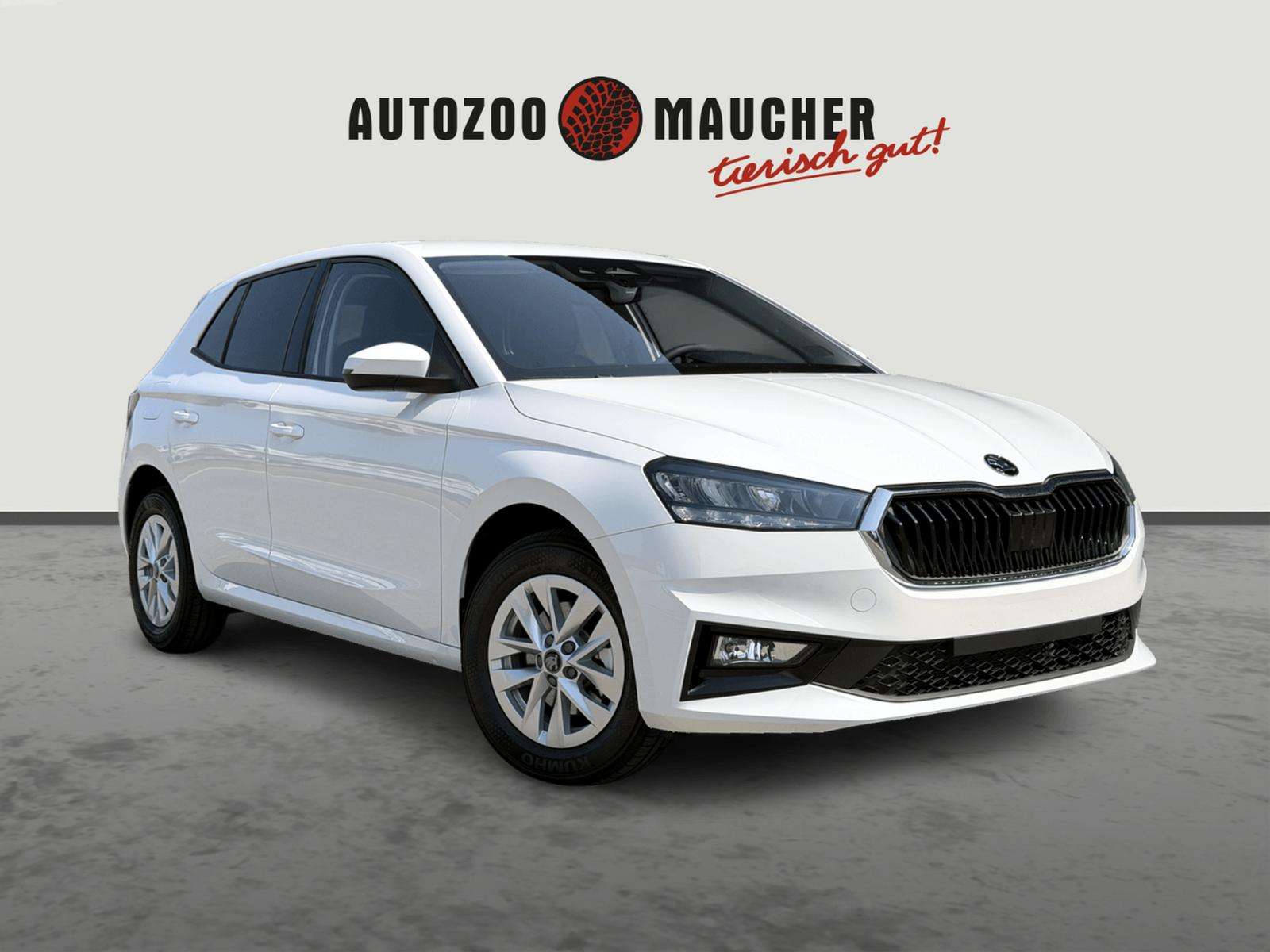 Fahrzeugbild eines Skoda Fabia