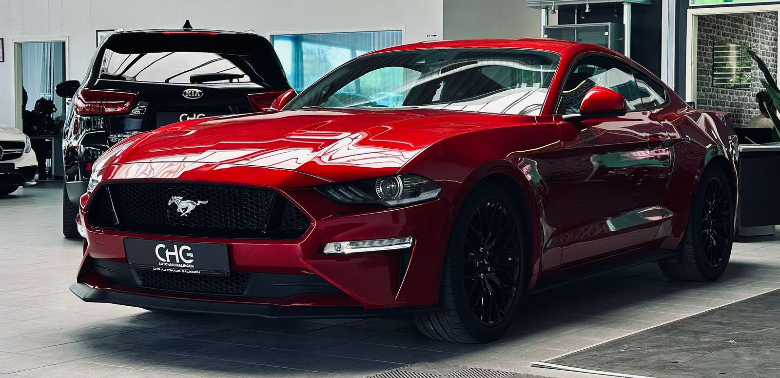 Fahrzeugbild eines Ford Mustang