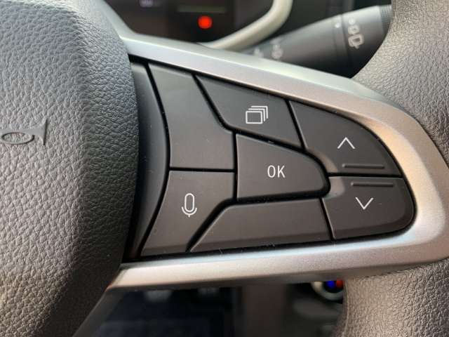 Fahrzeugbild eines Dacia Spring