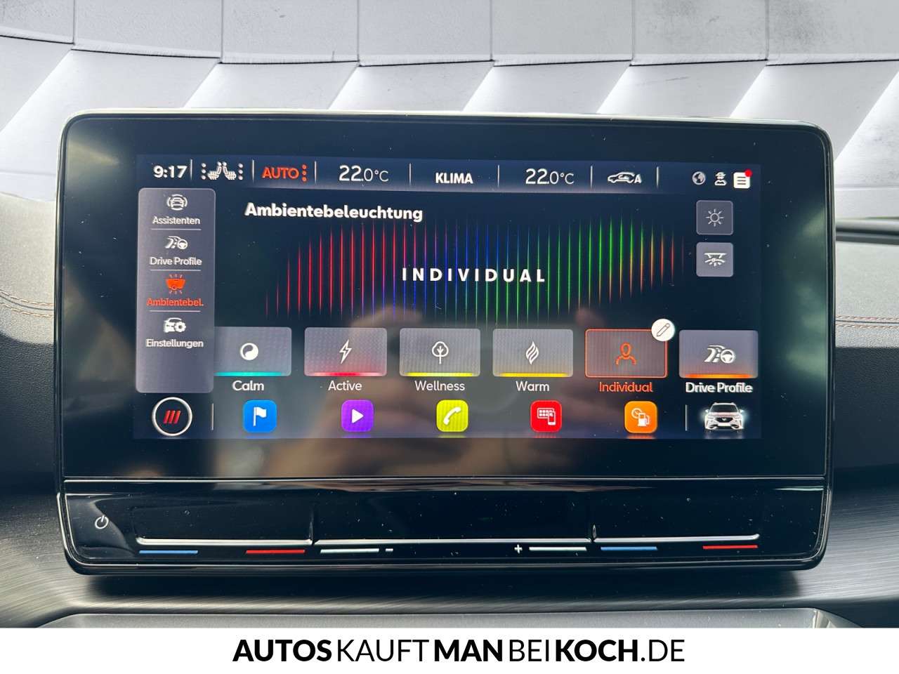 Fahrzeugbild eines CUPRA Formentor