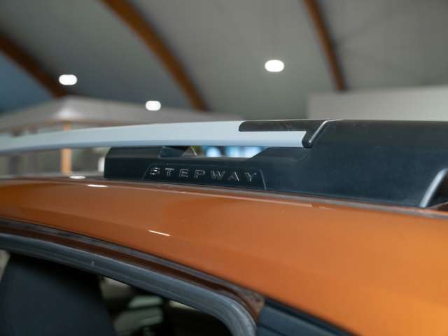 Fahrzeugbild eines Dacia Sandero