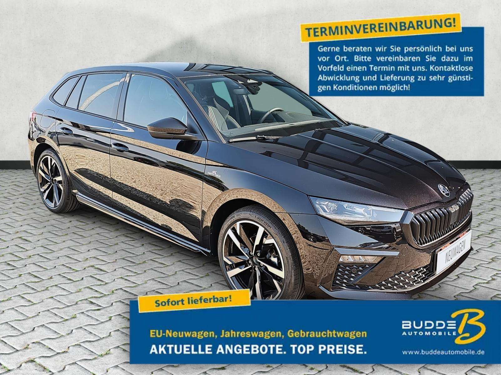 Fahrzeugbild eines Skoda Scala