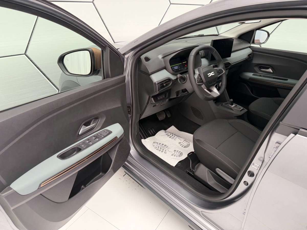 Fahrzeugbild eines Dacia Sandero