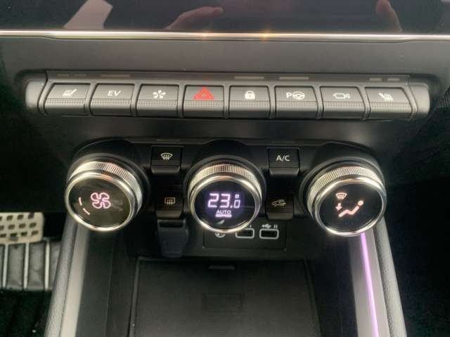 Fahrzeugbild eines Renault Clio