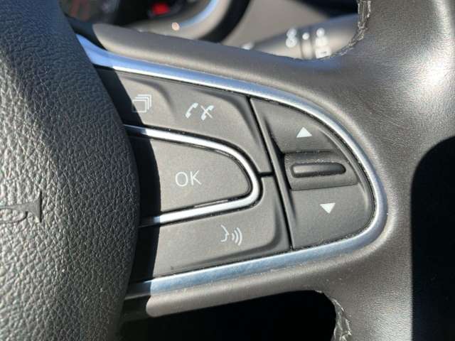 Fahrzeugbild eines Renault Scénic