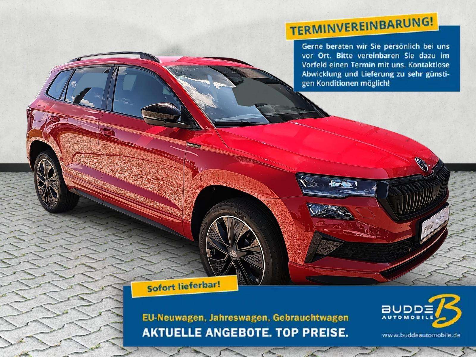 Fahrzeugbild eines Skoda Karoq