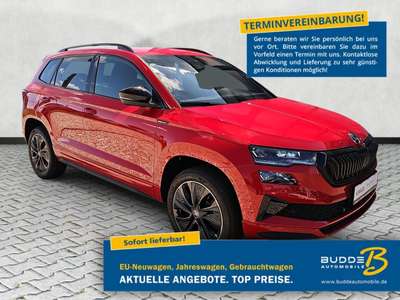 Bild Skoda Karoq